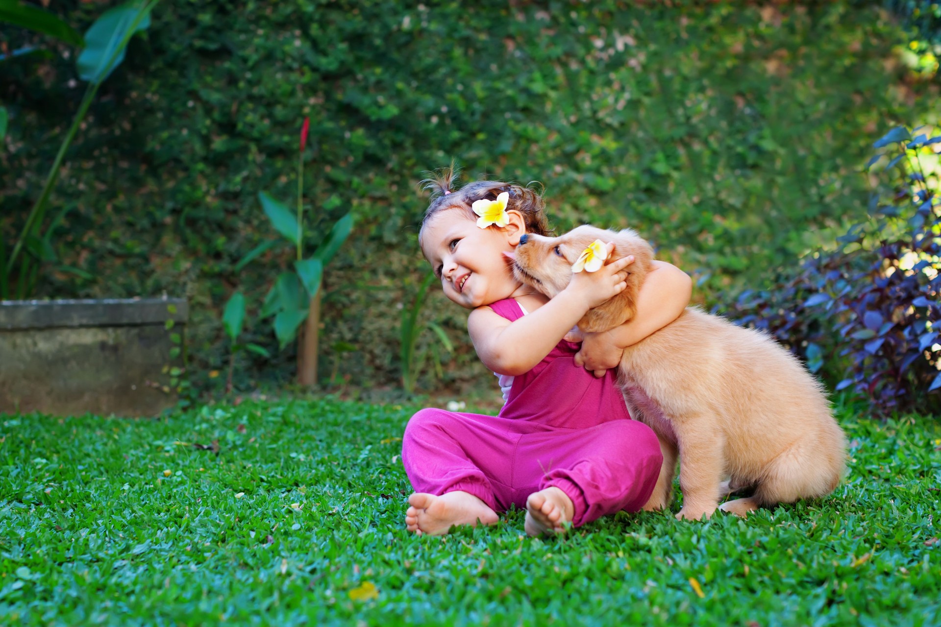 Happy child play with family pet - labrador puppy